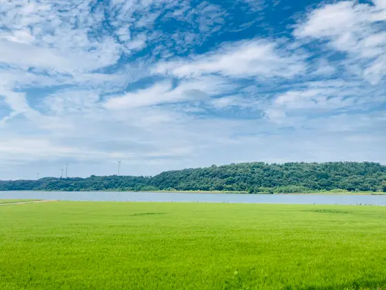 県道29号線沿いの北潟湖