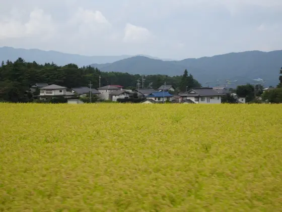 秋の実り