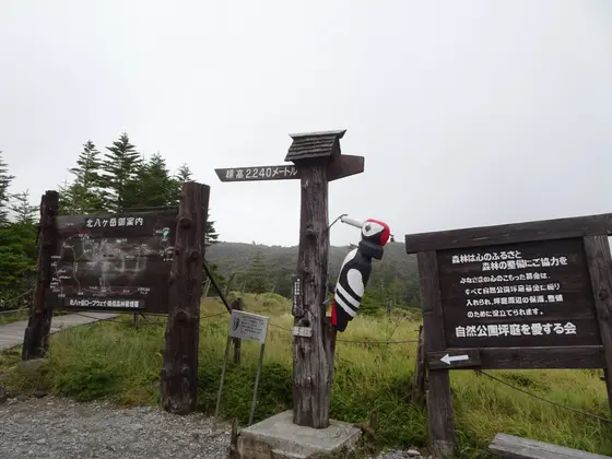 坪庭からのお願い