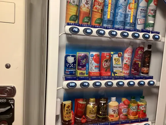 スポット内のおすすめ