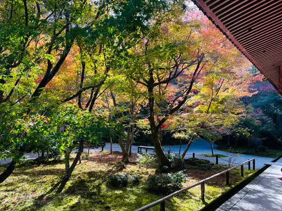 瑞雲閣前から眺む十牛之庭
