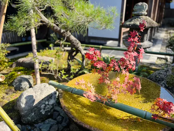 手水鉢と水琴窟