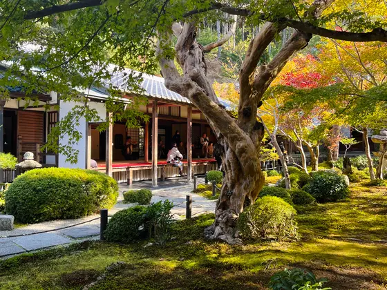 庭園「十牛之庭」から本堂を