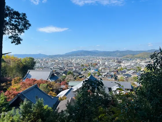 裏山 東照宮からの景色