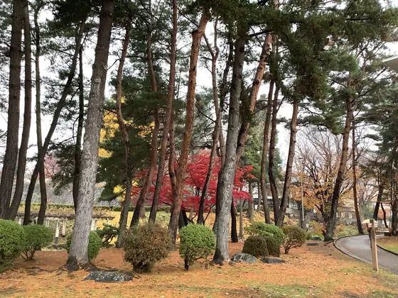 スポット内のおすすめ