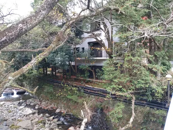 川を渡って、いざ。