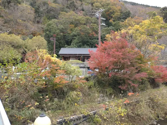 紅葉もあちこちで