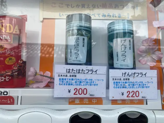 沙石に行く途中で発見