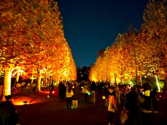 スポット内のおすすめ