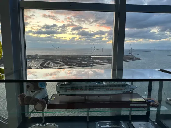展望台からの景色