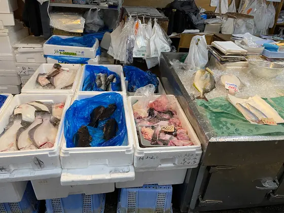 普通に海産物も売ってた