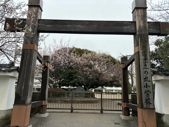 すぐ近くの三の丸小学校