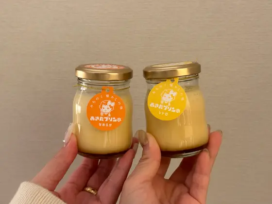 なめらかプリンとレトロプリン