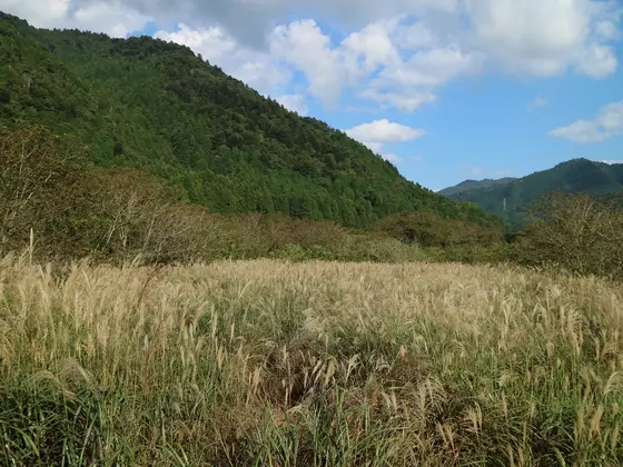 Kayaba