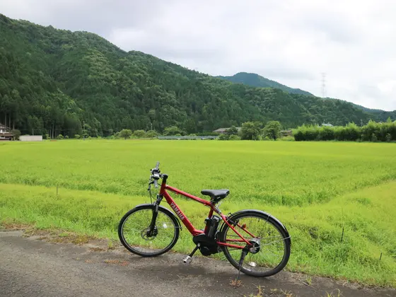 Cycling through the rural scenery