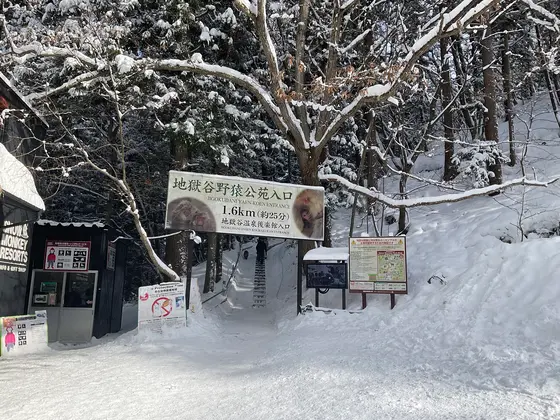 スポット内のおすすめ