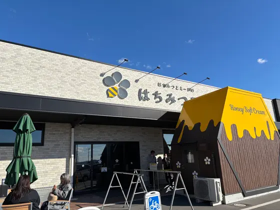 店内ではちみつ食べ比べや試飲出来たり夢のようでした