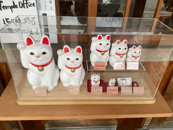 スポット内のおすすめ