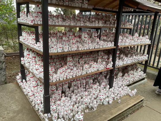 スポット内のおすすめ