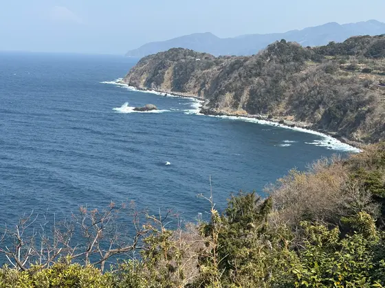 もう春なので