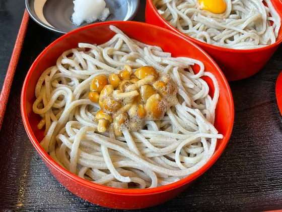 スポット内のおすすめ