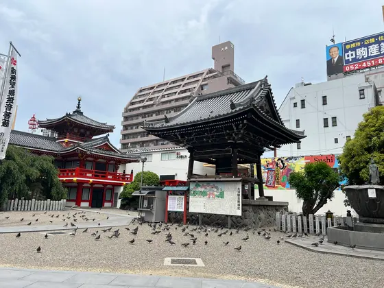 人より鳩の方が多そう