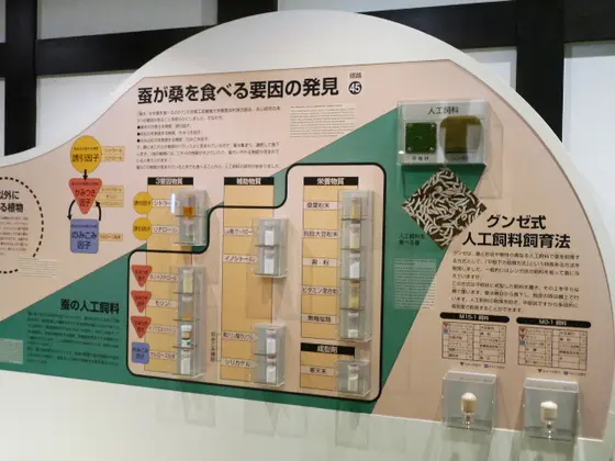 歴史蔵