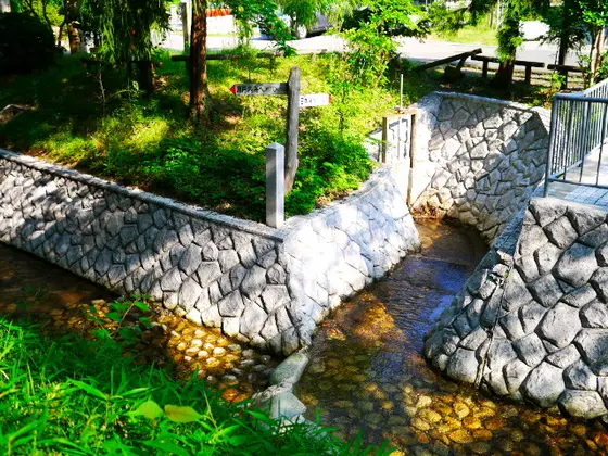 川の分かれ道が見れます