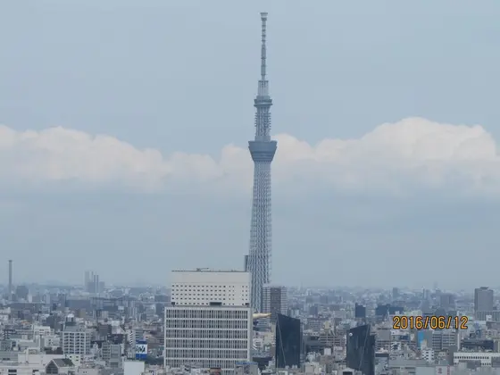 スカイツリーが見えます♪