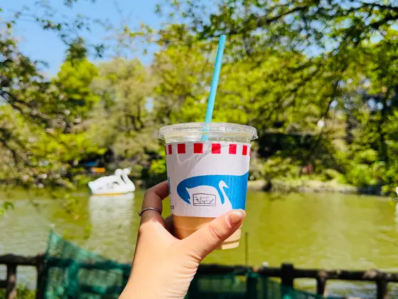 スポット内のおすすめ