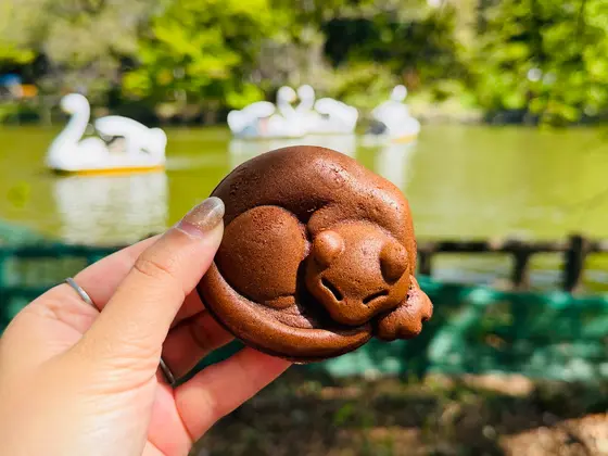 スポット内のおすすめ