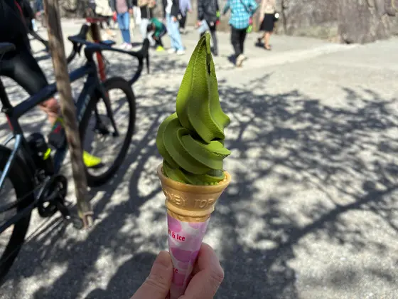 スポット内のおすすめ