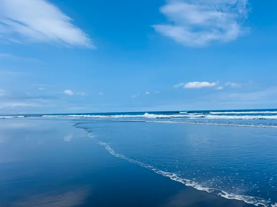 日南海岸