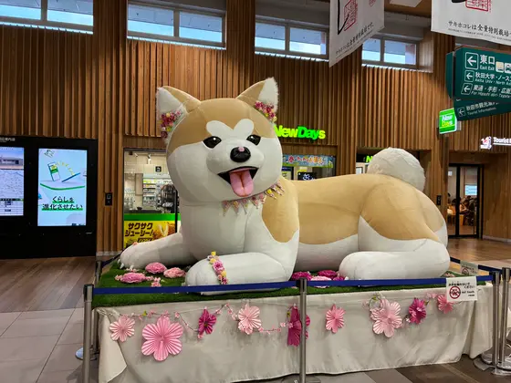 スポット内のおすすめ