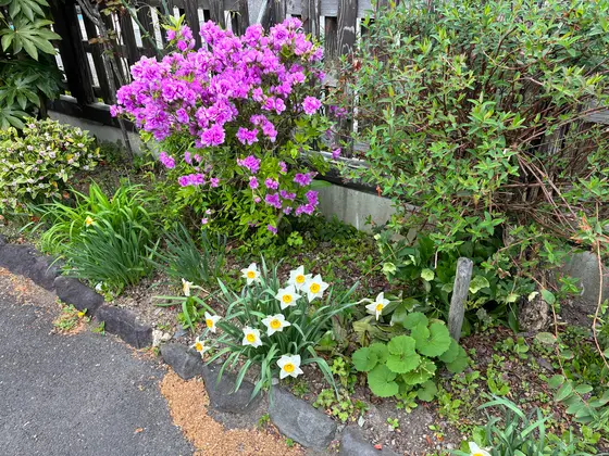 スポット内のおすすめ