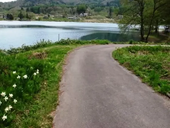湖面にとっても近い道