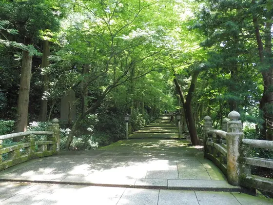参道の雰囲気が最高…！