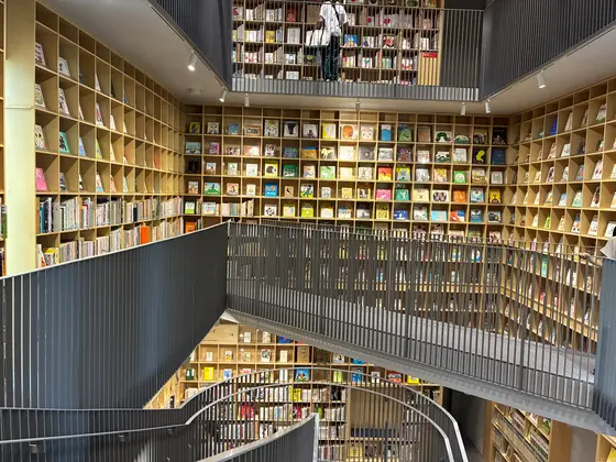スポット内のおすすめ