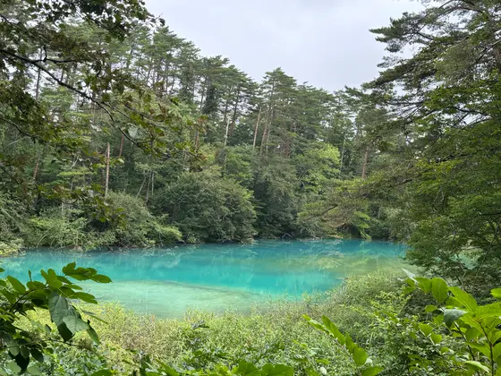 天気とか関係なし