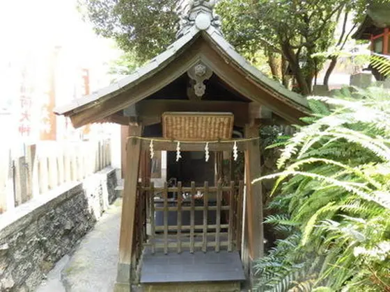 玉の井