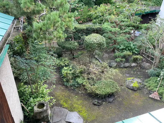 中庭