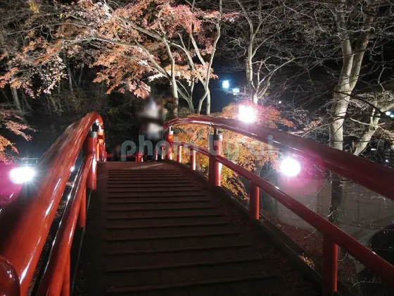 河鹿橋のライトアップ