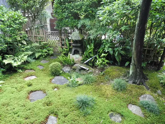 お茶室の庭