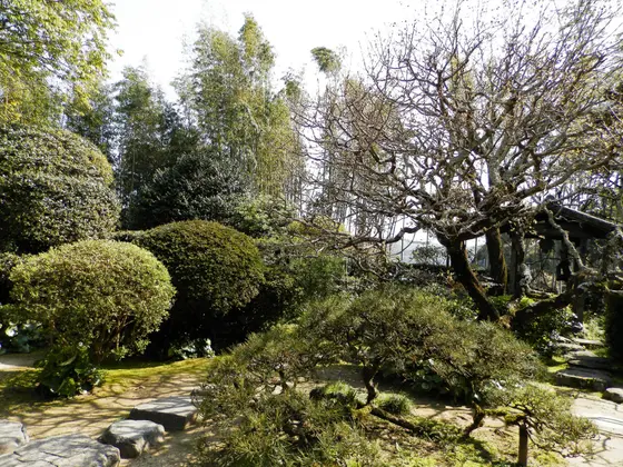 庭園
