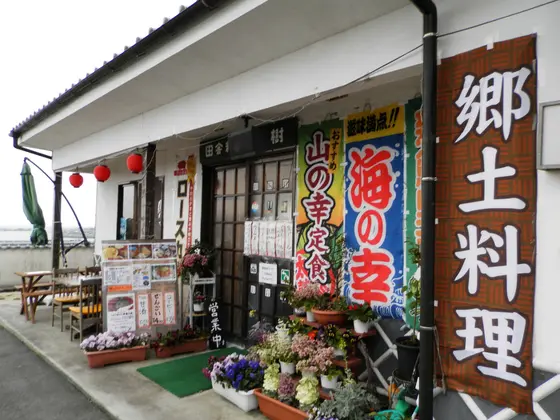 松樹