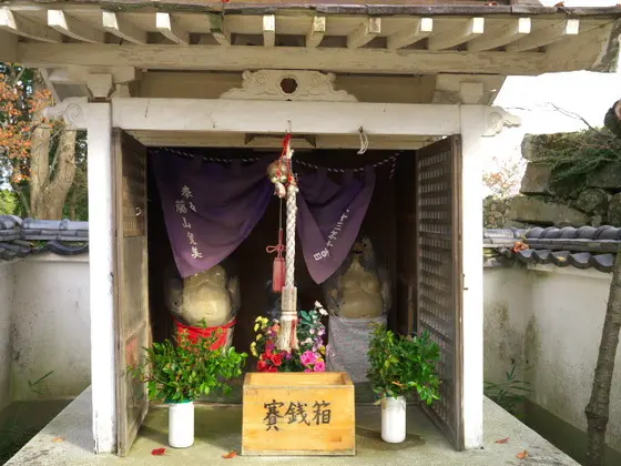 二匹の狸さん