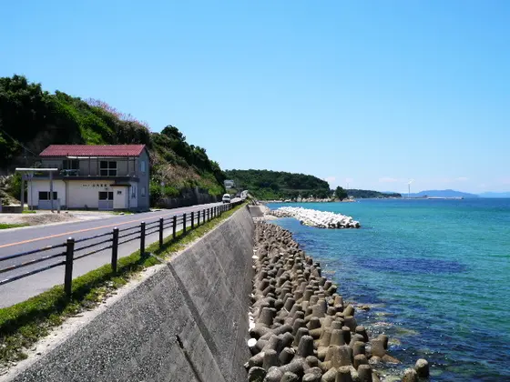 海岸をドライブ