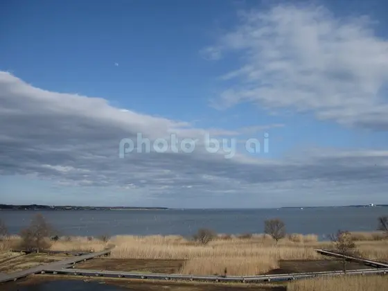 霞ヶ浦総合公園