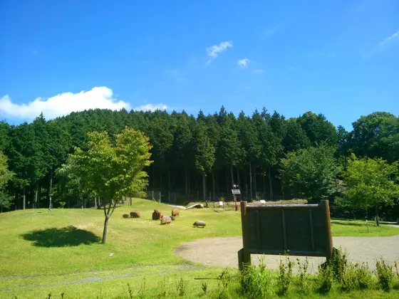 山上広場でまったり♪
