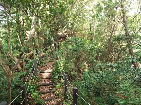 城跡への道